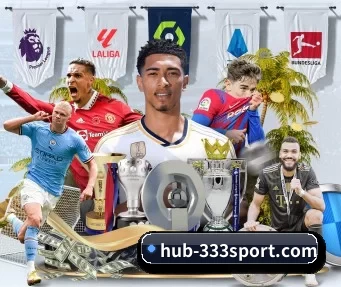 hub-333sport.com APP